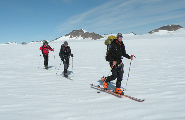 バグリーアイスフィールドの世界